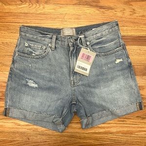 Everlane The Denim Short